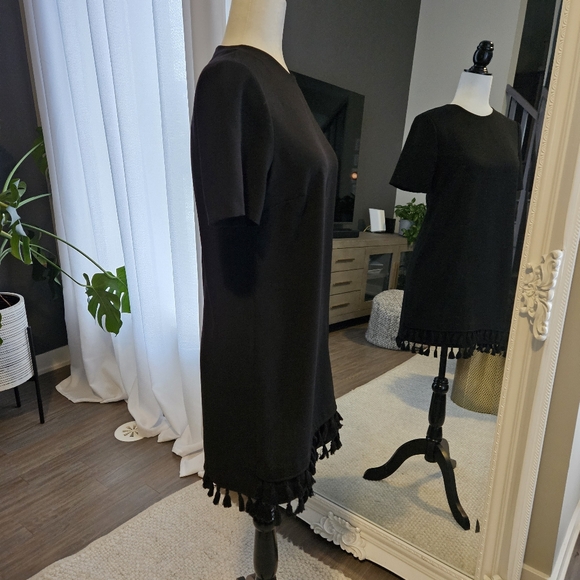 ZARA tassle dress (xs) - Picture 3 of 7